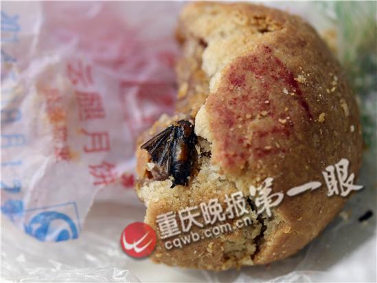 女子吃月饼一口咬出只飞蛾 半边翅膀已吃下肚