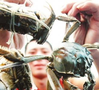 红牌楼海鲜市场_成都抽检66批次大闸蟹均合格击碎重金属超标谣言(2)
