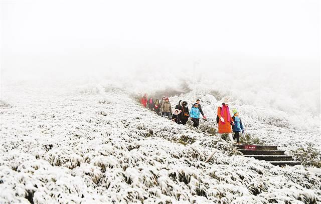 重庆大面积降雪 雪景游爆棚