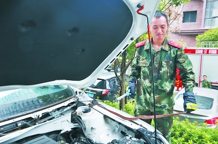 <em>毒蛇钻进</em>引擎盖 拆掉半个车头抓住它(图)_大渝