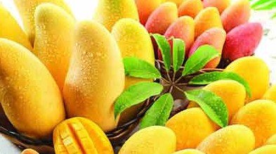 健康新知:芒果连皮一起吃或助减肥