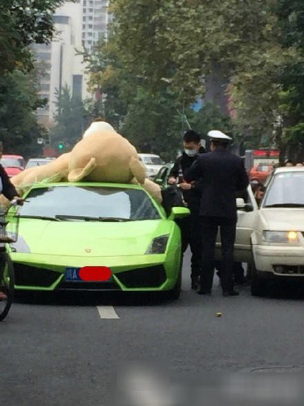成都一兰博基尼车顶绑超大号毛绒熊被交警查处 组图高清图片