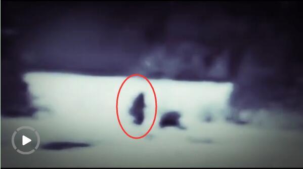 美国公园现不明生物 直立行走疑似大脚怪_大渝网_腾讯网