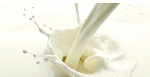 农业部新规遏制往牛奶中掺加奶粉 可举报不标