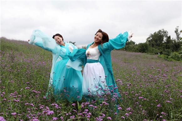 文理学院学生扮 七仙女 游客在花海争相合影