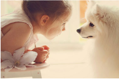 怎样让孩子和宠物安全相处