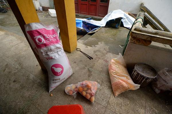 涪陵一个人的动物园 | 见到有人来，非洲狮惊恐得像个孩子