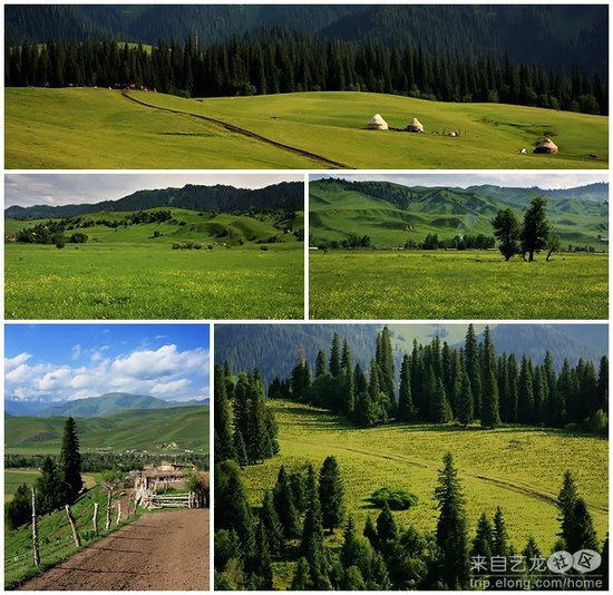南海之滨到中原净土 五条国内特色自驾线路推