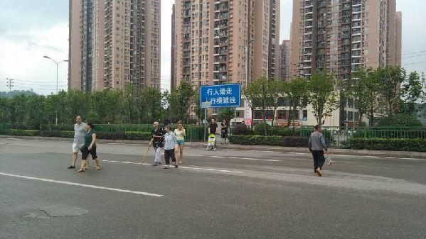 隔离带开口子却立提示牌 到底让人走不走呢