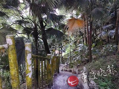 枇杷山公园即将改造升级