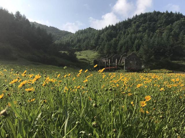 奉节首届国际露营音乐节8月26日盛大启幕