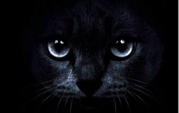 生物钟研究者:强迫夜猫子早睡不利于其健康