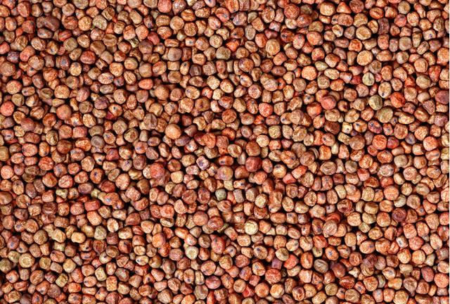 女子6岁与人比赛将豆子吸进鼻藏20多年成结石