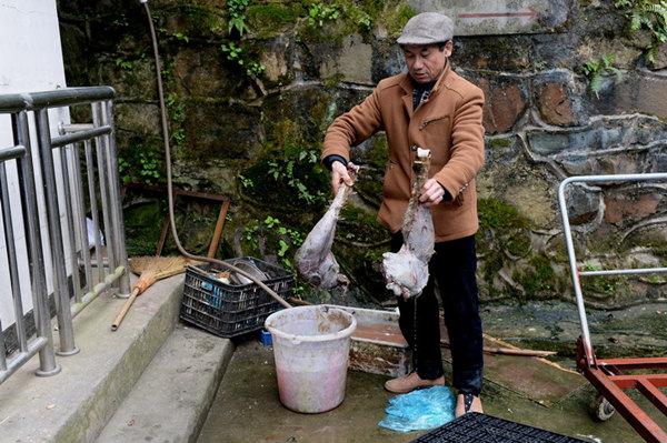 涪陵一个人的动物园 | 见到有人来，非洲狮惊恐得像个孩子