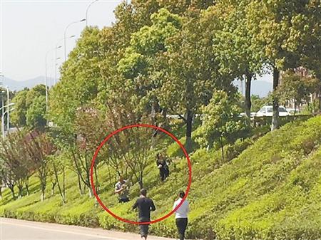 两男三女路边“辣手摧花” 樱花树全都成了光桠桠