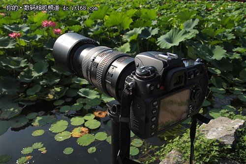 双卡槽强劲单反 DX旗舰尼康D300S重庆仅799