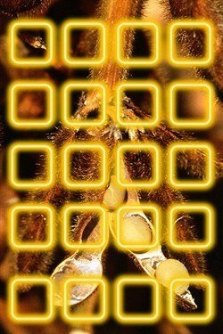 乐趣延续 iPhone4S必装娱乐软件荐