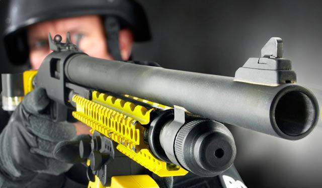 美国警察一年杀死多少人