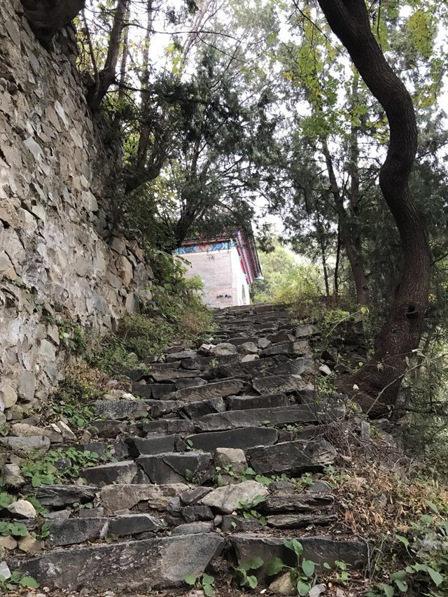 傍晚，徜徉于山中廢寺