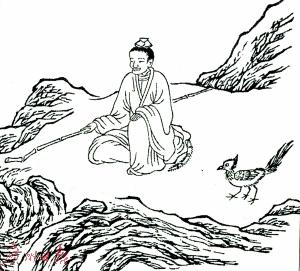 青鸟殷勤:身兼数职,与凤凰齐名,传说为何以青鸟为神鸟?