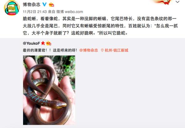 博物君《海错图笔记2》:为灵魂画作释义