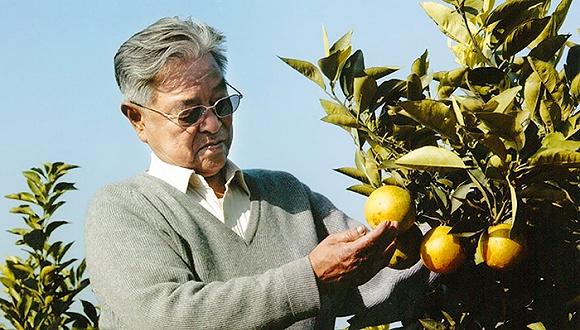 褚时健如何做产品?_文化_腾讯网