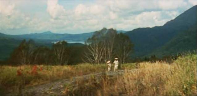 东野圭吾为何要写加贺版《砂之器》_文化_腾