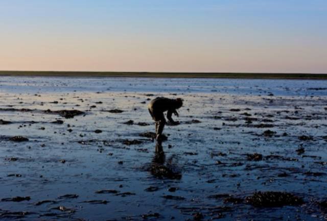 如果美人魚可以紅燒