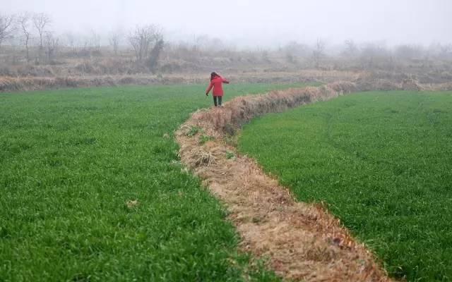 我们不想把余秀华定义为残疾诗人,她就是一个诗人_文化_腾讯网