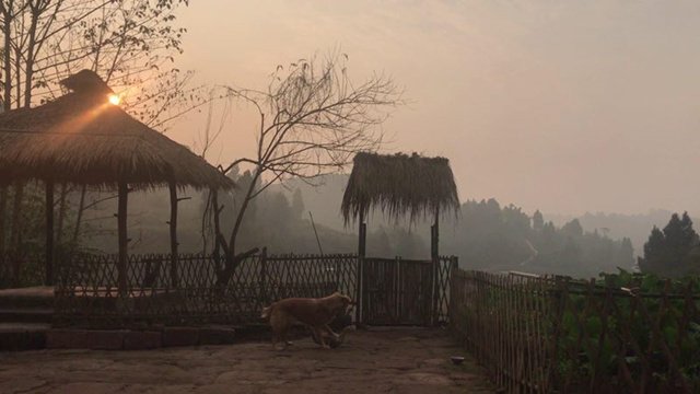 佛系青年夫妻在山裡的一天