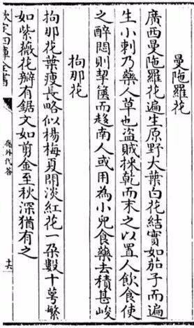 看来蒙汗药真有其事，那么这蒙汗药是什么？