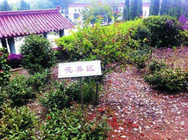 当中国传统生死观,遭遇花葬、树葬、海葬等生态葬法_文化_腾讯网