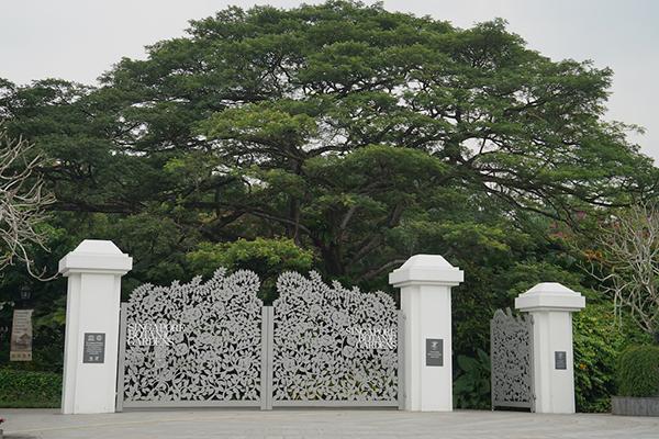 ��Щɢ��������������㼣