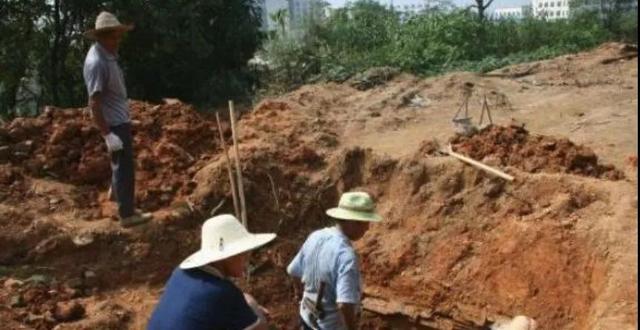 马未都:我见过最狠的古董做局,活生生造一个墓,现挖现卖