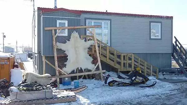 杀死一只须翡翠鸟:杀戮可以带来保护吗?