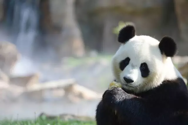 贾康：如何看待“中国模式”问题 | 检书117