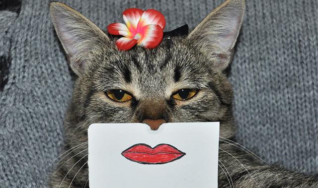 你能不能读懂别人脸上的微笑