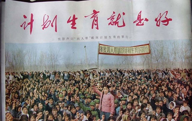 二胎故事：歷史抽了我父親一鞭子，然後還給了我一顆糖