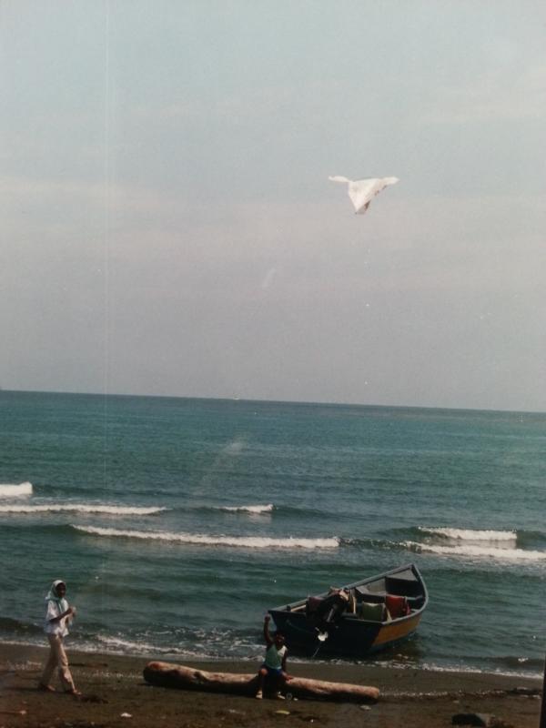 不要核武 伊朗还有数学和音乐