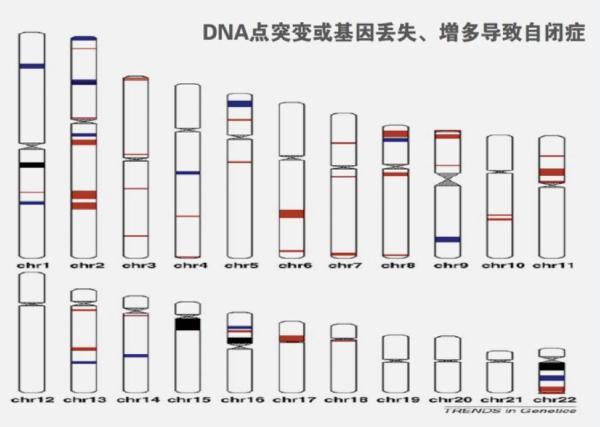 自闭症与基因和遗传有重要关系_文化_腾讯网