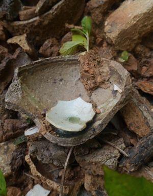 ����ŷ�޵ġ������������Լ����ѵ�����֮·