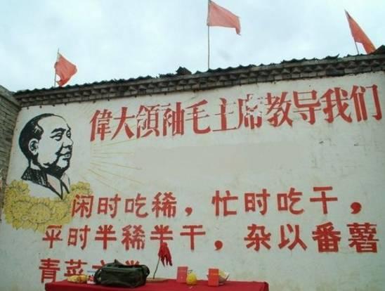 萧功秦:对毛泽东发动文革的另一种解释