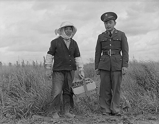 二战中的日裔美军:为美国而战_文化_腾讯网