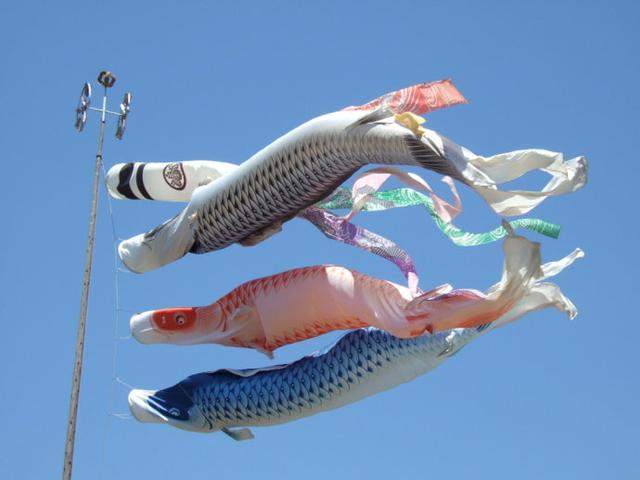 五月五:日本传统男儿节