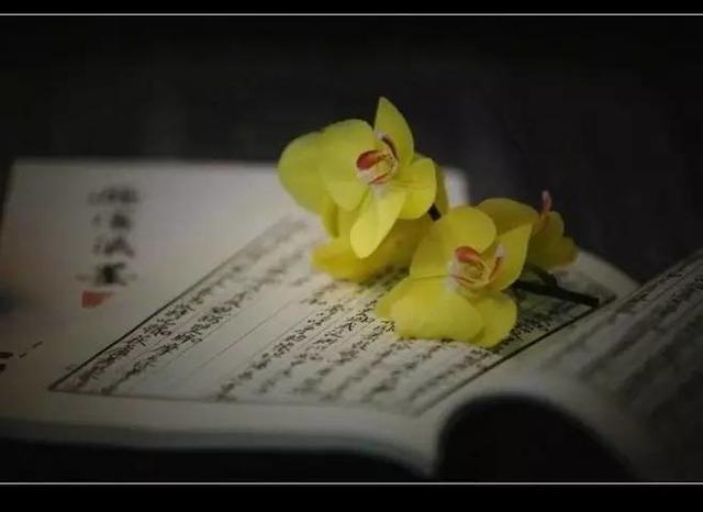 蒋勋:宋词追求的是安分做人的愿望丨美文_文化_腾讯网