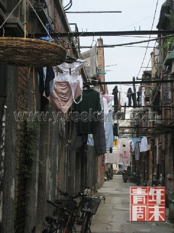 上海知青人口_上海知青