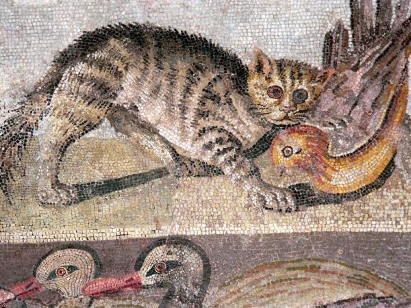 古埃及、犹太教和中世纪手稿中的猫
