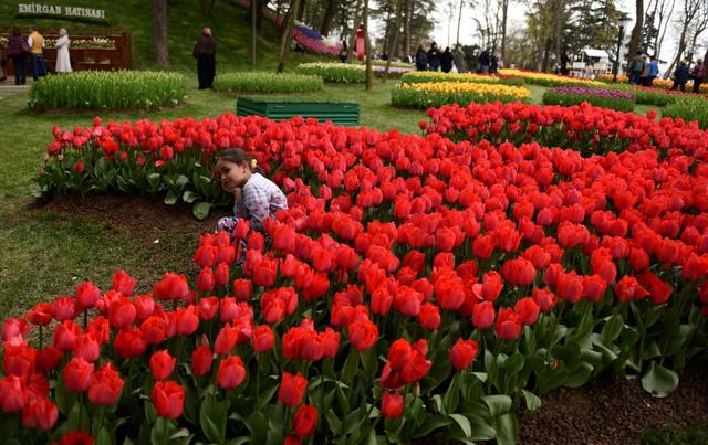 外国礼俗面面观--土耳其| 礼仪漫谈