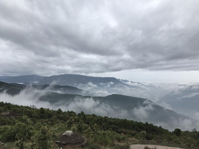 有人可以千萬逃稅，這些孩子們卻在喝著渾水