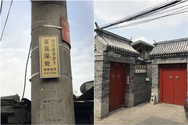 何处是百花深处